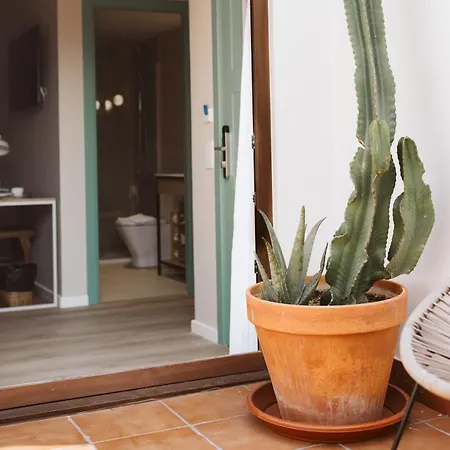 Lindala Natural 4* Valencie